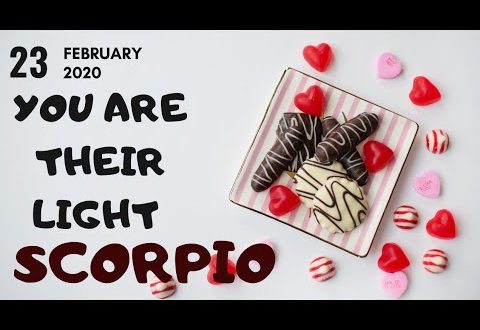 Scorpio daily love tarot reading 💗 YOU ARE THEIR LIGHT 💗 23 FEBRUARY 2020