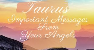 Taurus - Reunion Offer / Commitment / Timing Matters / Distant Decisions -