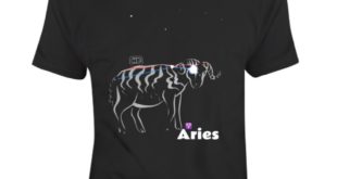 This Aries Constellation T Shirt Collection is one of our favorites, and it won’...