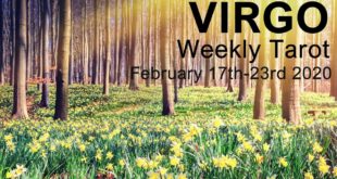 VIRGO WEEKLY TAROT READING  "THE SUN IS SHINING ON YOU VIRGO!" February 17th-23rd 2020