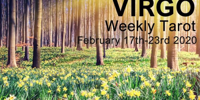 VIRGO WEEKLY TAROT READING  "THE SUN IS SHINING ON YOU VIRGO!" February 17th-23rd 2020