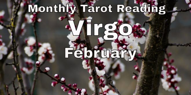 ♍ Virgo monthly tarot 📚 | Changing for them or changing for you | Feb