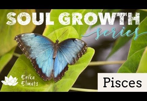 🌟PISCES SOUL GROWTH🌟When you reveal yourself fully they can finally see your light