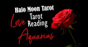 AQUARIUS LOVE TAROT READING -  THEY WATCH YOU AND FIND YOU FUNNY. THEY WILL SURRENDER TO YOU SOON.