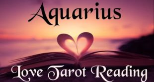 Aquarius Love Tarot Reading 💜 They want to protect you and take care of you 💜