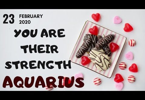 Aquarius daily love tarot reading 💗 YOU ARE THEIR STRENGTH  💗 23 FEBRUARY 2020
