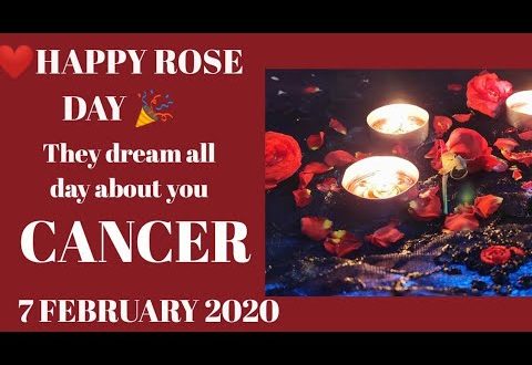 Cancer daily love reading 💖THEY DREAM ALL DAY ABOUT YOU 💖 7 FEBRUARY 2020