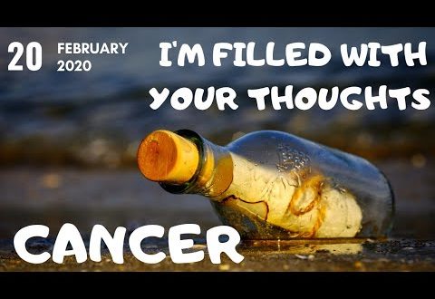 Cancer daily love tarot reading 💗 I AM FILLED WITH YOUR THOUGHTS(MESSAGE FROM YOUR PERSON)💗20 FEB
