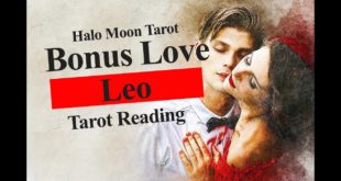 LEO LOVE TAROT READING - BONUS*