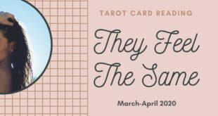 Leo Love Tarot Reading : They Feel The Same 3/20-4/30 2020