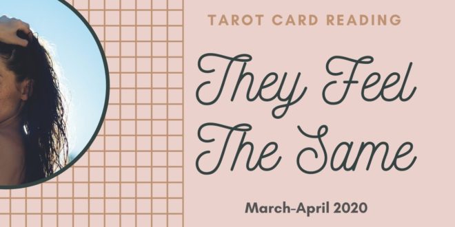 Leo Love Tarot Reading : They Feel The Same 3/20-4/30 2020