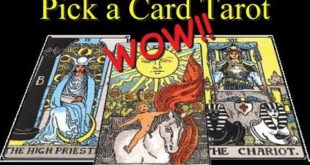 Pick a Card Tarot - Near-Term Love forecast