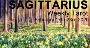 SAGITTARIUS WEEKLY TAROT READING  "THE BIG COMEBACK SAGITTARIUS!"  February 17th-23rd 2020