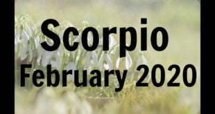 SCORPIO FEBRUARY 2020 * THINGS TURNING IN YOUR FAVOUR: VICTORIOUS NEW START FOR YOU SCORPIO
