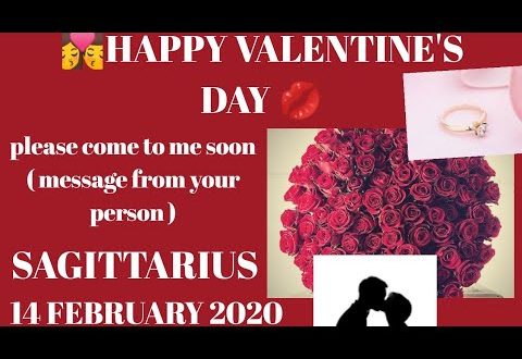 Sagittarius daily love reading 💗 PLEASE COME TO ME SOON (MESSAGE FROM YOUR PERSON) 14 FEBRUARY 2020