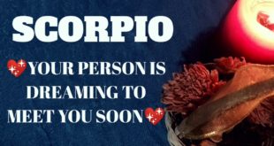 Scorpio daily love reading ⭐ YOUR PERSON IS DREAMING TO MEET YOU ⭐23 JANUARY 2020