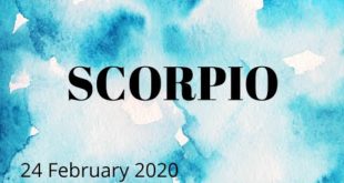 Scorpio daily love tarot reading 💗 YOUR PERSON IS LOYAL, DON'T DOUBT THEM SCORPS❤️ 24 FEBRUARY 2020