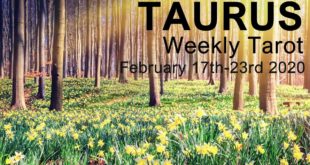 TAURUS WEEKLY TAROT READING  "MAKE SPACE FOR THE NEW TAURUS!"  February 17th-23rd 2020