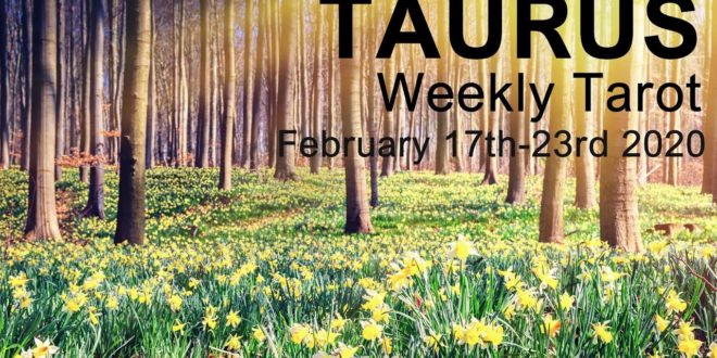 TAURUS WEEKLY TAROT READING  "MAKE SPACE FOR THE NEW TAURUS!"  February 17th-23rd 2020