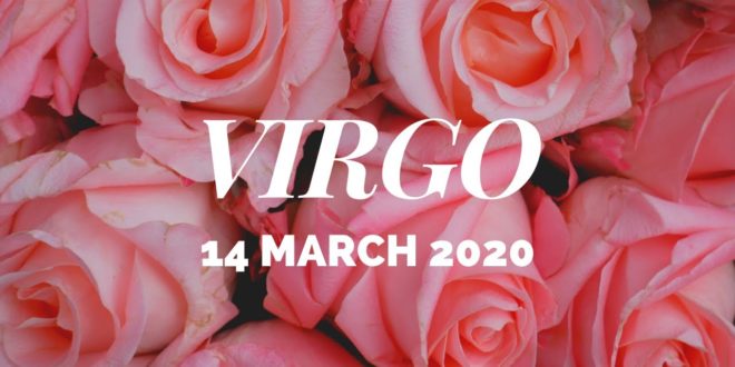 Virgo daily love tarot reading 💓 SOMEONE WANTS TO MARRY YOU... 💓 14 MARCH 2020