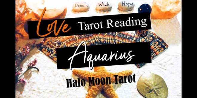 AQUARIUS LOVE TAROT -  THIS PERSONS A LITTLE TOO MUCH!  THEY NEED TO COME TO YOU RIGHT...