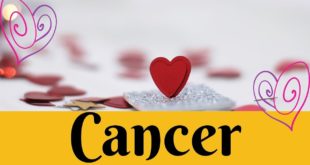 Cancer daily love tarot reading 💖 THEY CAN'T WAIT TO TAKE THIS OFFER !! 💖 11 APRIL 2020