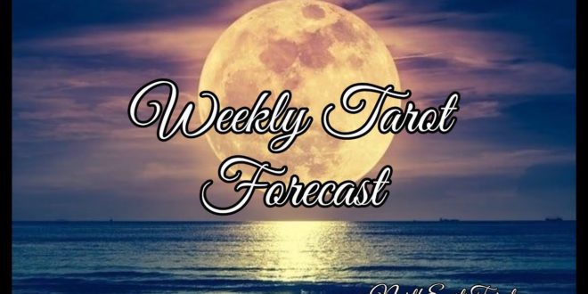 Capricorn ♑️ Weekly Tarot Forecast 🌻🌞✨