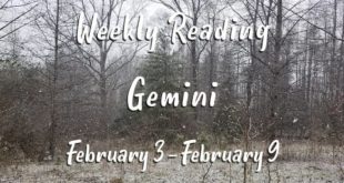 GEMINI  - Weekly Reading February 3 - 9, 2020