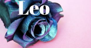 Leo daily love tarot reading 💕 TO DESERVE BETTER LEO'S 💕 2 APRIL 2020