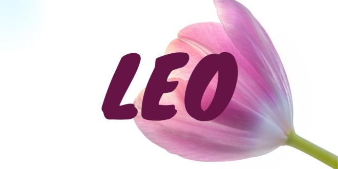 Leo daily love tarot reading 💗 THEY WANT SECOND CHANCE .. 💗 17 MARCH 2020
