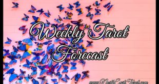 Leo ♌️ Weekly Forecast April 27th-May 3rd 🖤🦋