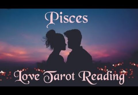 Pisces Love Tarot Reading 💍 They're finally proposing!💍