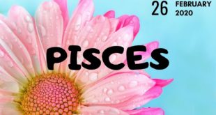Pisces daily love tarot reading 💗 TRUST THIS CONNECTION 💗 26 FEBRUARY 2020