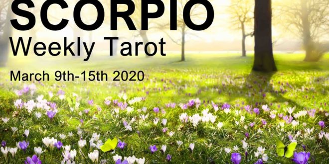 SCORPIO WEEKLY TAROT READING  "A GOLDEN OPPORTUNITY SCORPIO!"  March 9th-15th 2020