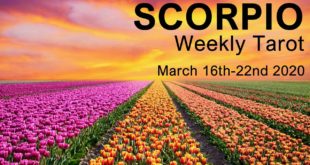 SCORPIO WEEKLY TAROT READING "HERE COMES THE SUN SCORPIO!"  March 16th-22nd 2020 Forecast