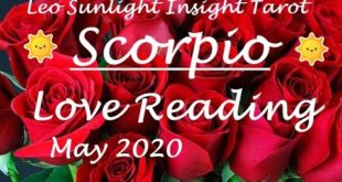 Scorpio May 2020 Love Tarot *Coming for You After the World Heals*