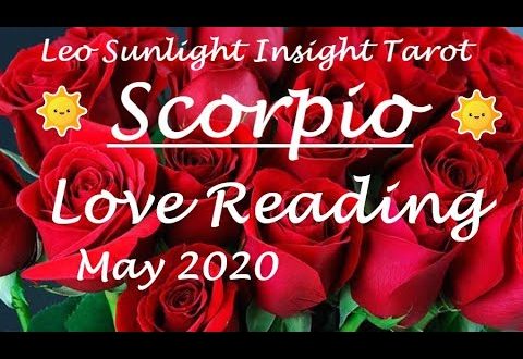 Scorpio May 2020 Love Tarot *Coming for You After the World Heals*