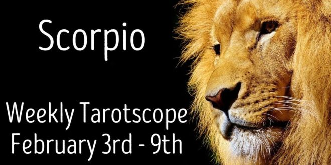 Scorpio ~ You will be rewarded! ~ Weekly Tarotscope Feb 3rd - 9th