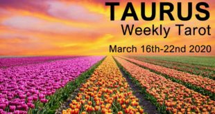 TAURUS WEEKLY TAROT READING  "A NEW CHAPTER TAURUS!"  March 16th-22nd 2020 Forecast