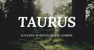 Taurus Horoscope 2020- Success in Both Love and Career is Possible- General Tarot Card Reading