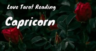 ♑ Capricorn | Apology coming... hear them out.  | monthly love 📚 | March