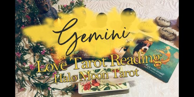 GEMINI LOVE TAROT -  THEY ARE READY FOR CHANGE. THEY WANT TO REACH OUT
