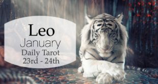 LEO JAN 23rd - 24th | THEY LOW KEY WISH YOU'D MAKE A MOVE - Leo Tarot Love Reading