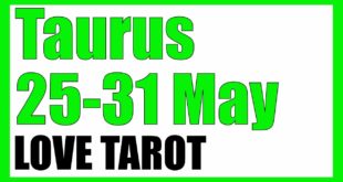 NEW BOYFRIEND  -  TAURUS WEEKLY TAROT READING