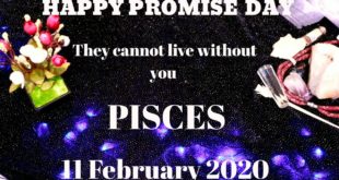 Pisces daily love reading 💗 THEY CANNOT LIVE ANYMORE WITHOUT YOU 💗 11 FEBRUARY 2020