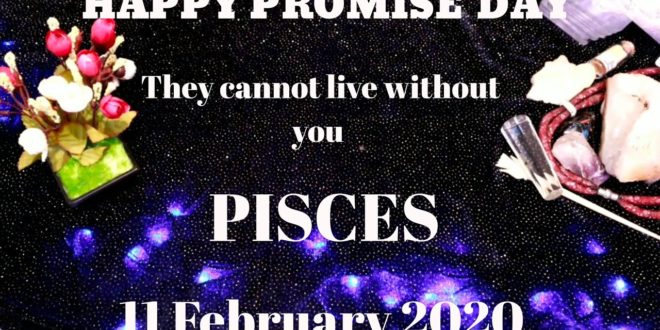 Pisces daily love reading 💗 THEY CANNOT LIVE ANYMORE WITHOUT YOU 💗 11 FEBRUARY 2020