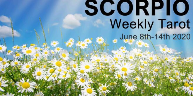 SCORPIO WEEKLY TAROT READING  " June 8th-14th 2020 Intuitive Forecast