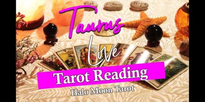 TAURUS LOVE TAROT READING -  HERE THEY COME!  YOU KNOW WHAT TO DO