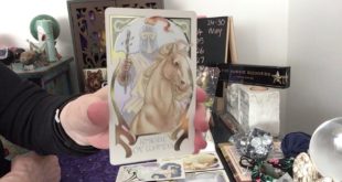Taurus Weekly Reading For 24-30 May - Step Back And Allow This Taurus