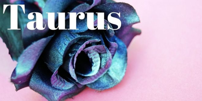 Taurus daily love tarot reading 💕 SOMEONE FEELS THE LOSS !! 💕 2 APRIL 2020